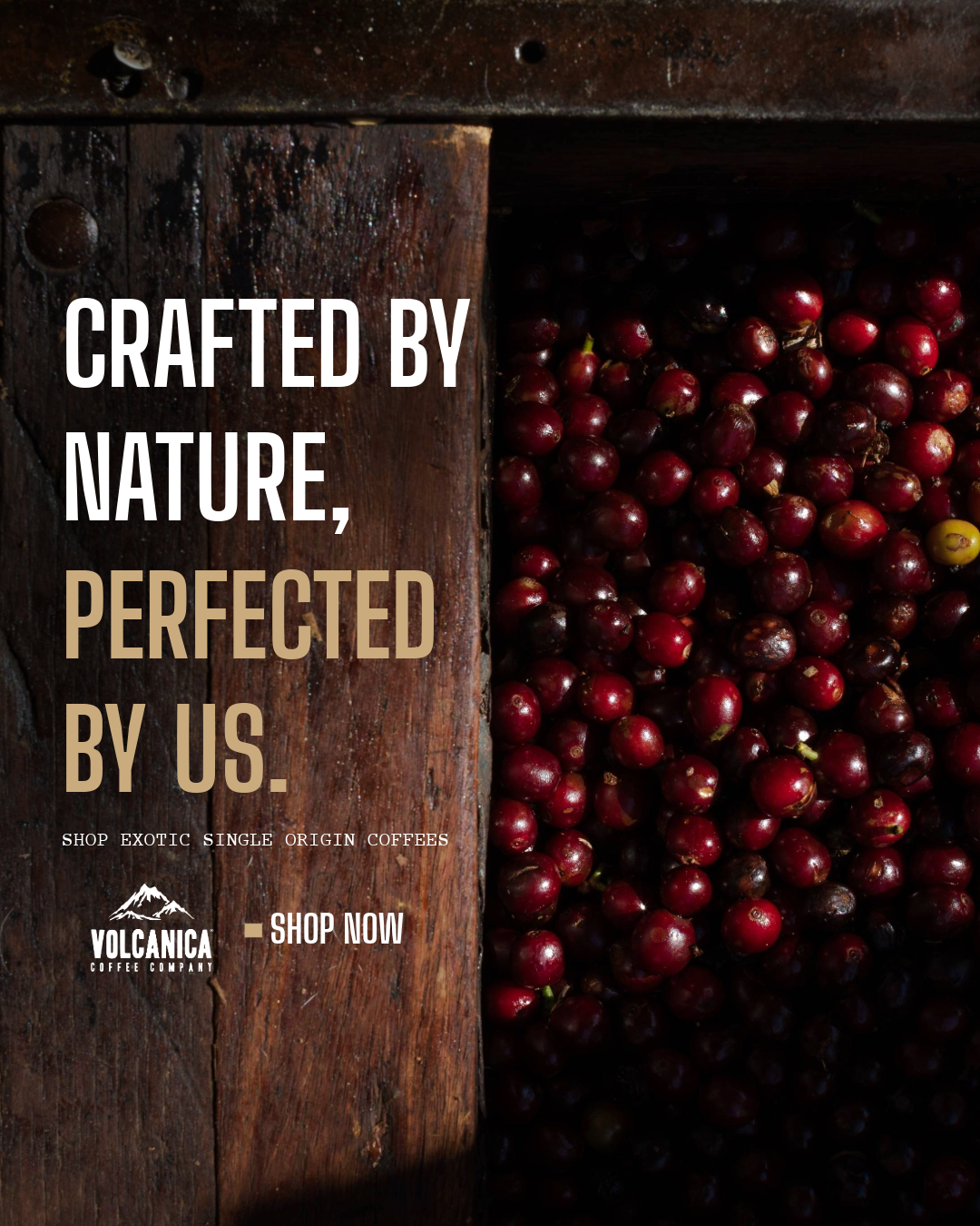 Quality Coffee Crafted by Nature, Perfected by Us