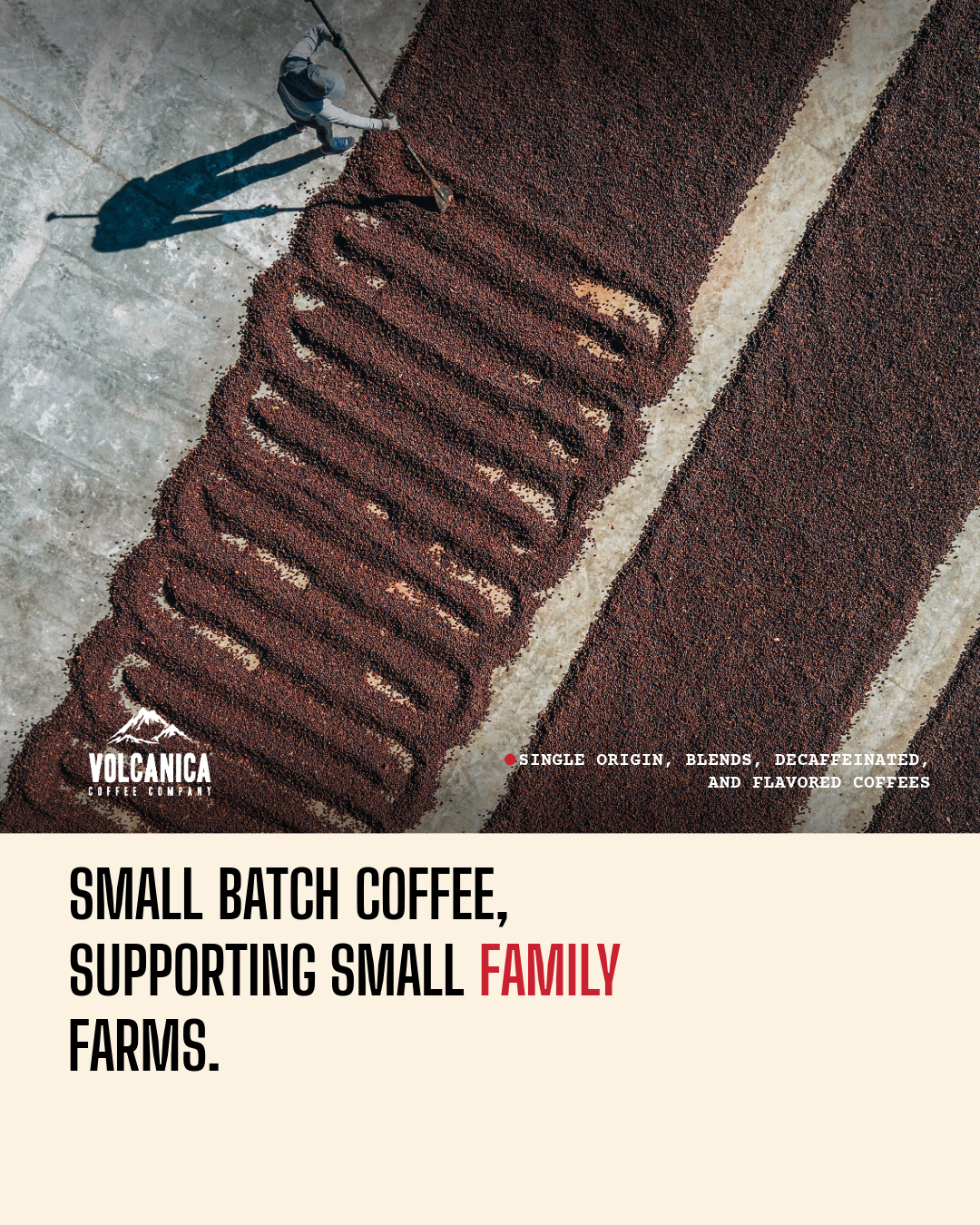 Explore 150+ Small-Batch, Family-Farmed Coffees